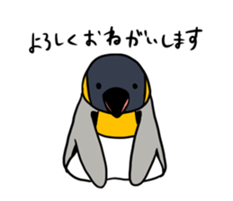 kingpenguin2 sticker #6207289