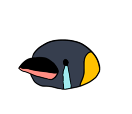 kingpenguin2 sticker #6207295