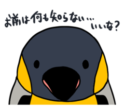 kingpenguin2 sticker #6207299