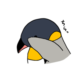 kingpenguin2 sticker #6207301