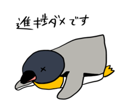 kingpenguin2 sticker #6207304