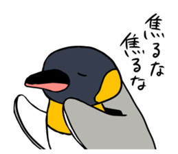 kingpenguin2 sticker #6207305