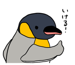 kingpenguin2 sticker #6207306