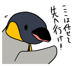 kingpenguin2 sticker #6207323