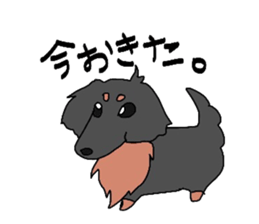 choco of my dog sticker #6209911