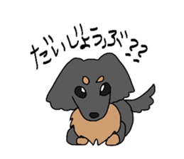 choco of my dog sticker #6209916