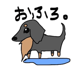 choco of my dog sticker #6209917