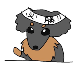 choco of my dog sticker #6209921