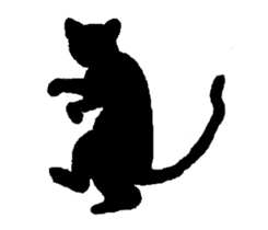 CAT CAT CAT~~ sticker #6215520