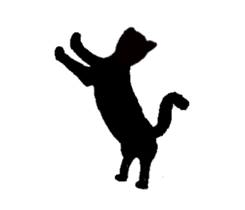 CAT CAT CAT~~ sticker #6215525