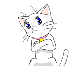 White cat of momo sticker #6215899