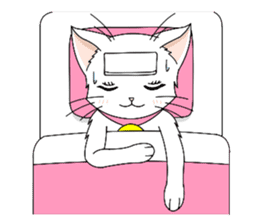 White cat of momo sticker #6215923