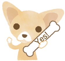 Chihuahua Life sticker #6216254