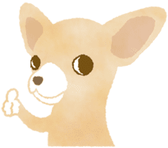 Chihuahua Life sticker #6216256