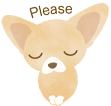Chihuahua Life sticker #6216274