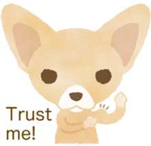 Chihuahua Life sticker #6216276