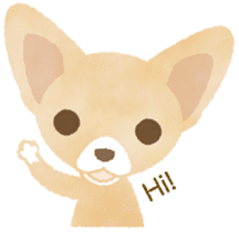 Chihuahua Life sticker #6216277