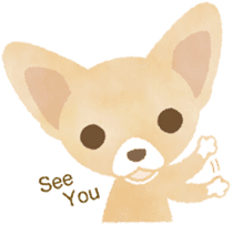 Chihuahua Life sticker #6216278