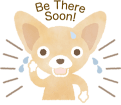 Chihuahua Life sticker #6216280