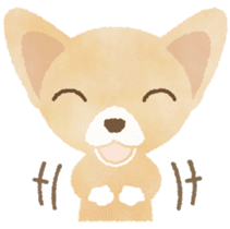Chihuahua Life sticker #6216286