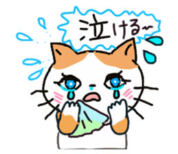 A tortoise-shell cat and the friends sticker #6217127