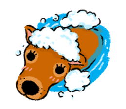 Sushi is my dog sticker #6218355