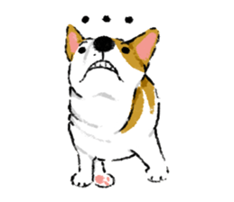 Sushi is my dog sticker #6218362