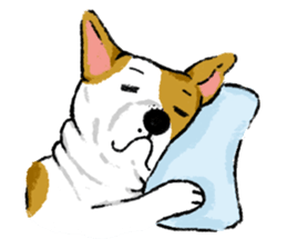Sushi is my dog sticker #6218365