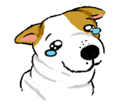 Sushi is my dog sticker #6218373
