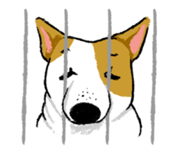 Sushi is my dog sticker #6218383