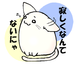DAIHUKU Kitten sticker #6218825