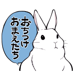 rabbit is  justice