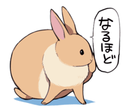 rabbit is  justice sticker #6219307
