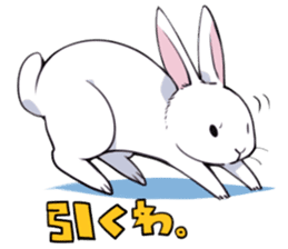 rabbit is  justice sticker #6219315