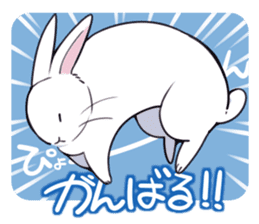 rabbit is  justice sticker #6219318