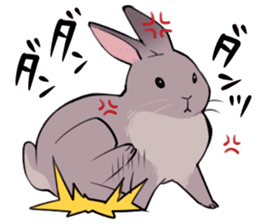 rabbit is  justice sticker #6219322