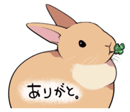 rabbit is  justice sticker #6219326