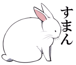rabbit is  justice sticker #6219333
