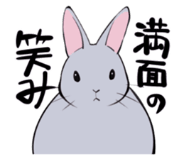rabbit is  justice sticker #6219342