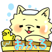 pomeranian chaco sticker #6219883