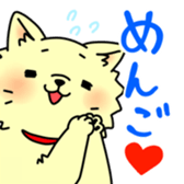 pomeranian chaco sticker #6219886