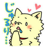 pomeranian chaco sticker #6219890