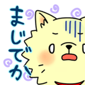 pomeranian chaco sticker #6219895