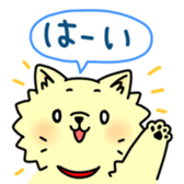 pomeranian chaco sticker #6219900