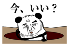 Pandasan1 sticker #6221627