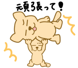 funny dog's stickers sticker #6222267