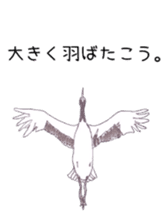 Japanese crane Sticker sticker #6222826