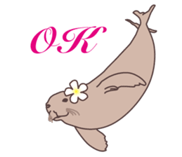 The phrases with Hawaii English ver. sticker #6223544