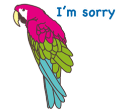 The phrases with Hawaii English ver. sticker #6223570