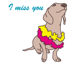 The phrases with Hawaii English ver. sticker #6223573